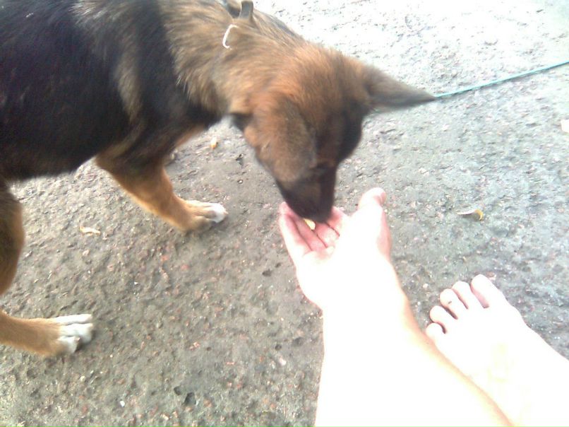 Аничка Каваева | Полтава