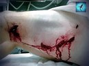 Фотография Никита Жилин