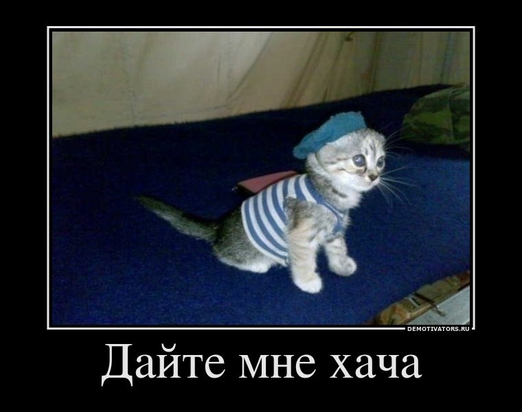 Серёга Булгаков ЗОЛОТОЙ | 