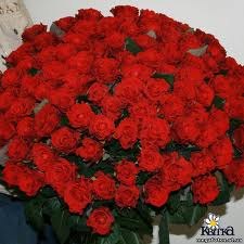 Марія Бандерич | Николаев