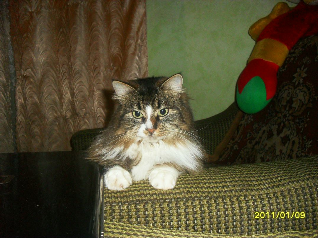 Денис Артюх | Полоцк