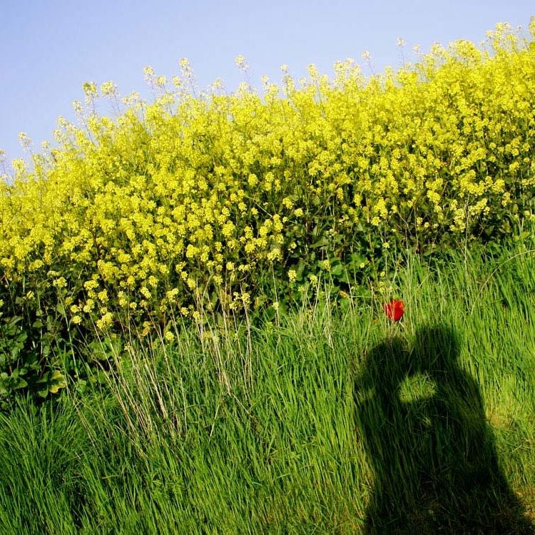 Inna Veleva ✔ | Alanya