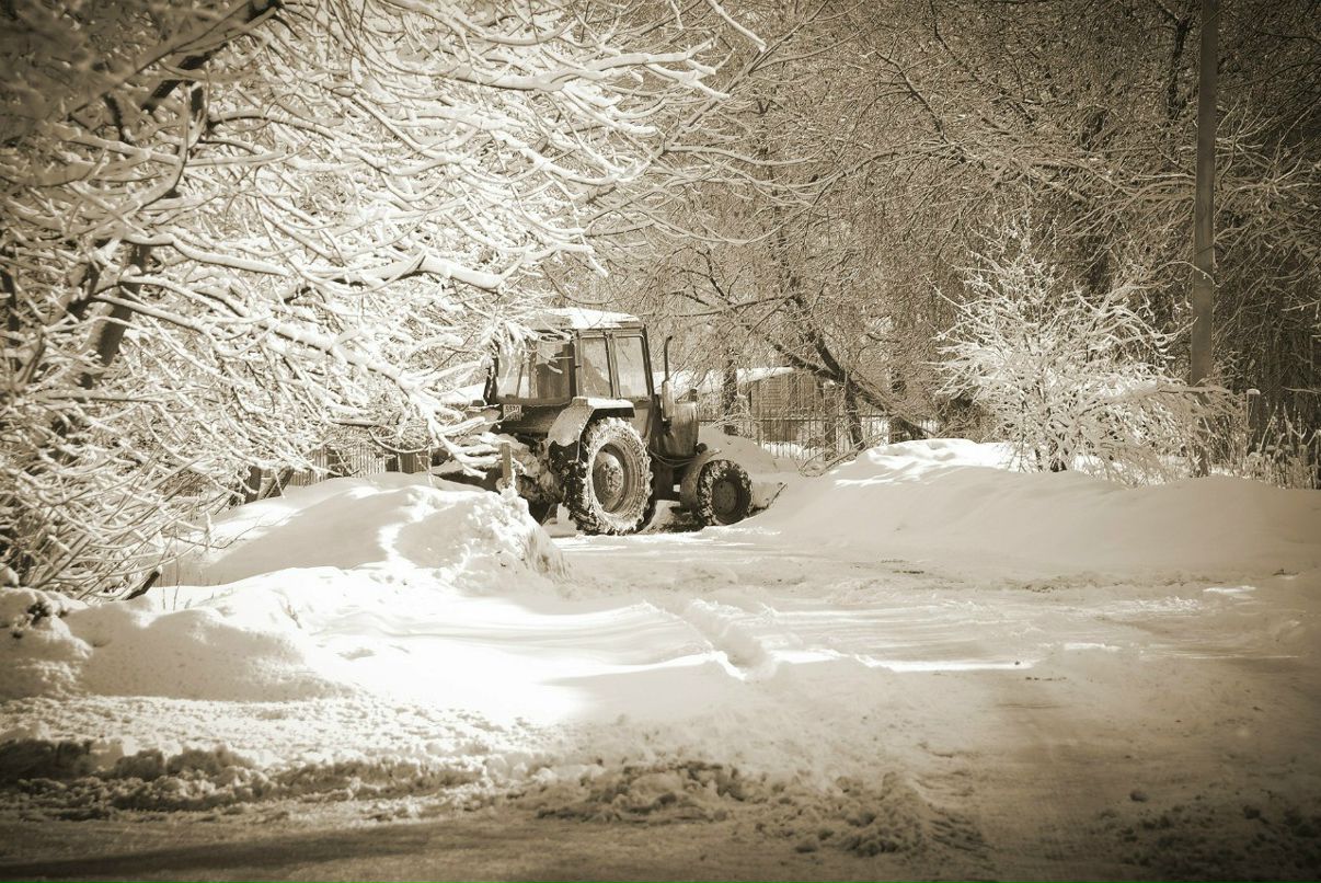 Елена Гражданинова | Нижний Новгород