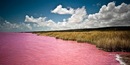 Ева Дубинина, Брянск, Россия, 