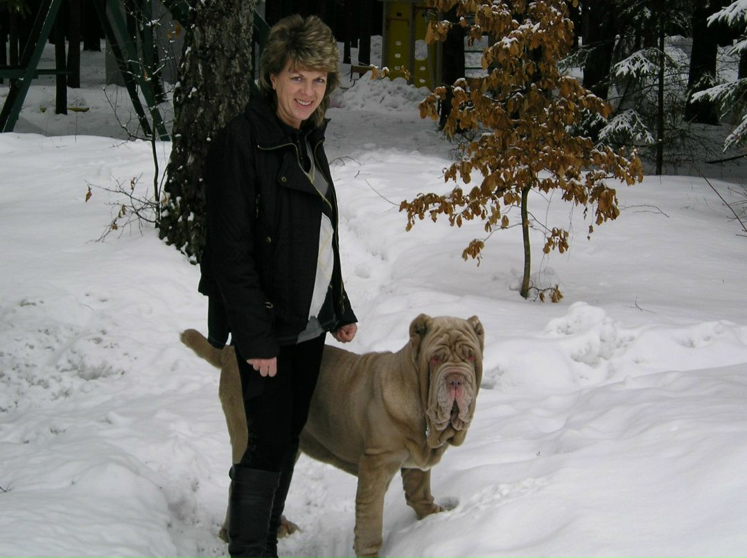 Елена Шевченко | Запорожье