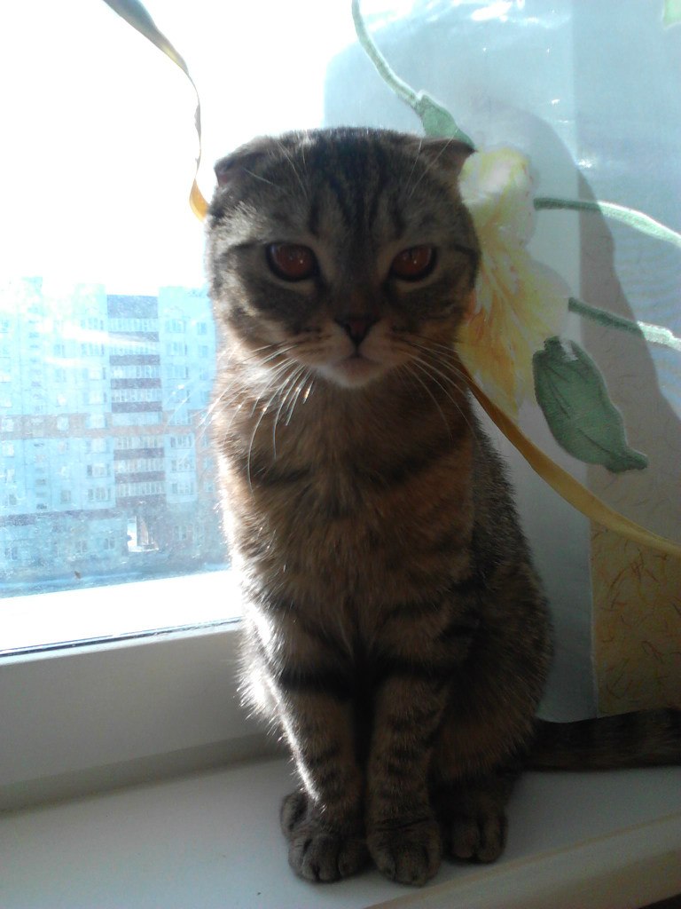 Света Юрченко Цветочек | Минск