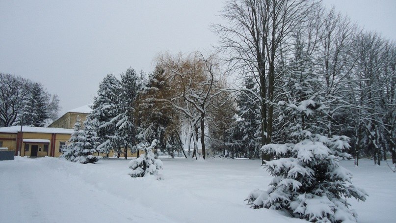 Оля Котлінська Kotlinchyk | Острог