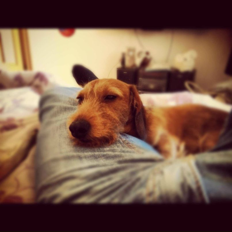 Andy Силаков | Санкт-Петербург