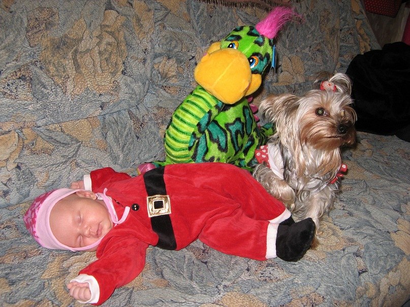 Сергей Митьковец | 