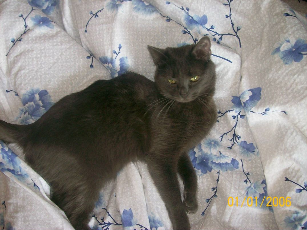 Александра Крепкая ˜”*°• ⎛★ ⎝⏜⏝ ⏜⎠★⎞ .•°*”˜ | Киев