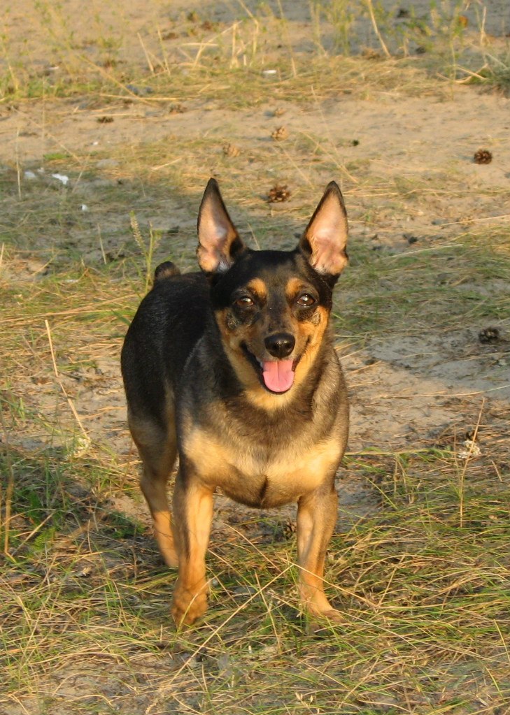 Владимир Ширяев | Тюмень