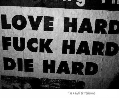 Александр Кулешов | 