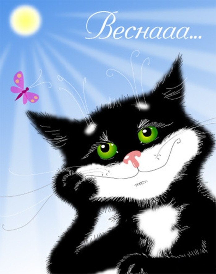 Николай Курков | Москва (деревня)