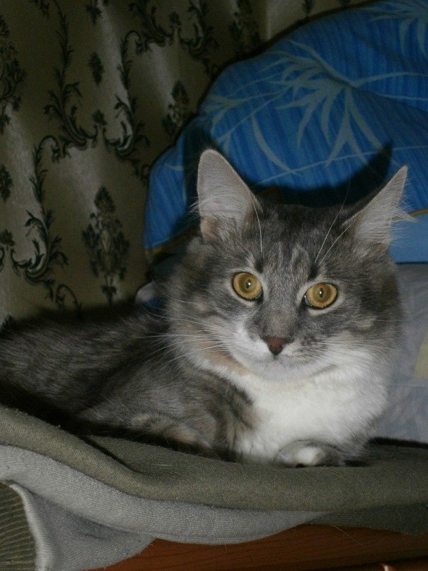 Макс Сорока M@k$0№ | Черкассы