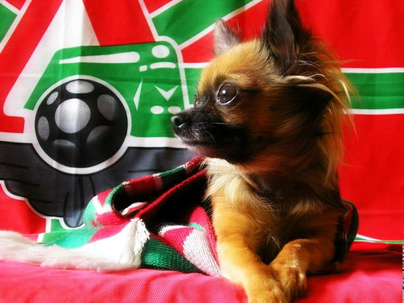 Михаил Кукин | Липецк