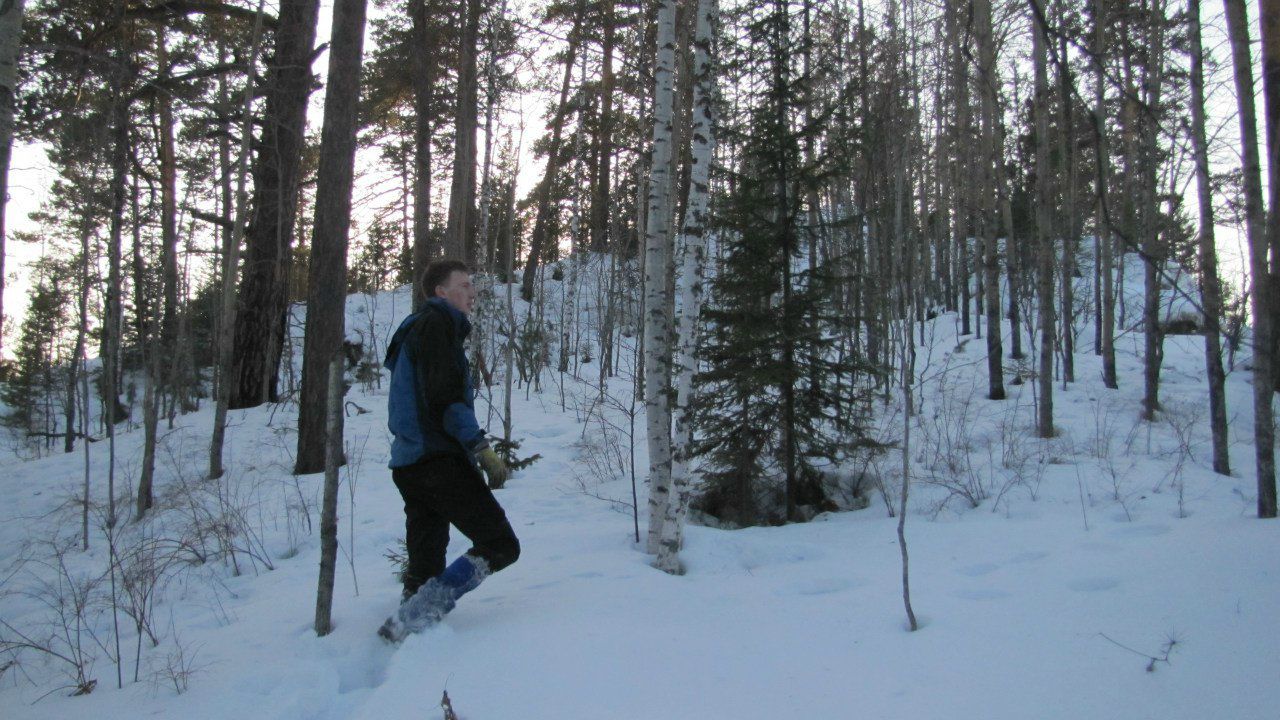 Снежный Мишка ManGo | Красноярск