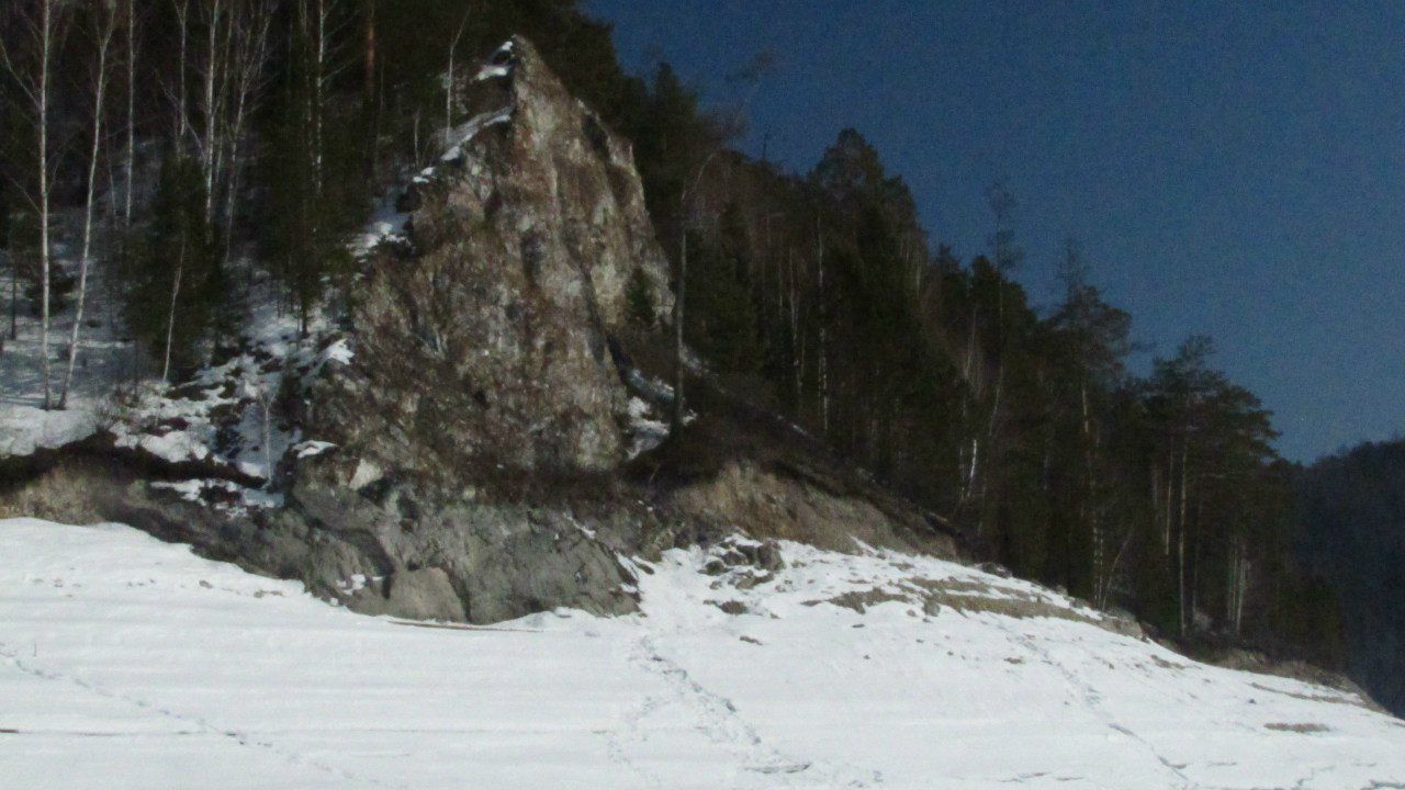 Снежный Мишка ManGo | Красноярск