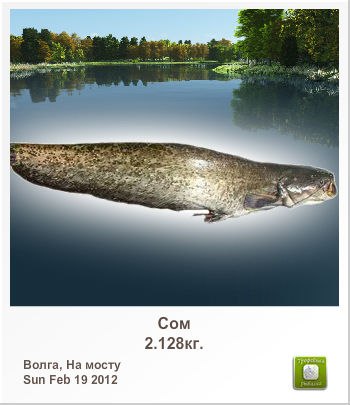 Андрей Максимов | Шымкент