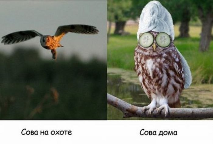 Наталья Трубенко | Москва