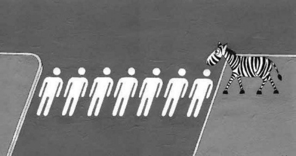 Константин За | Йошкар-Ола