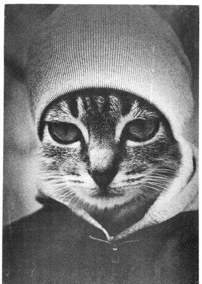 №138, Леха Гарбузов, 37 лет, Ясиноватая №138, Леха Гарбузов, 37 лет, Ясиноватая