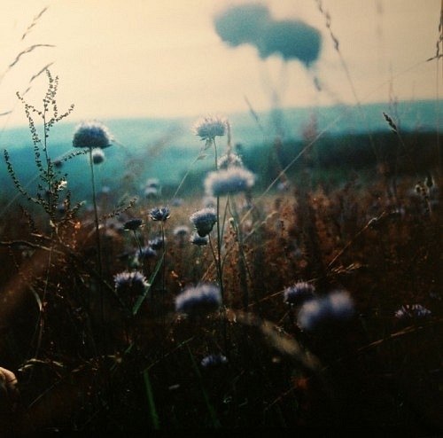 Мария Шпилёва | Новосибирск