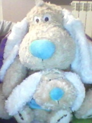 Анна Миркина | Барнаул