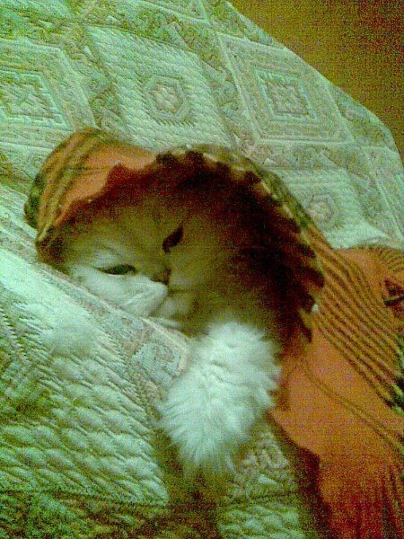 Алёна Важенина Vazhenka | Санкт-Петербург