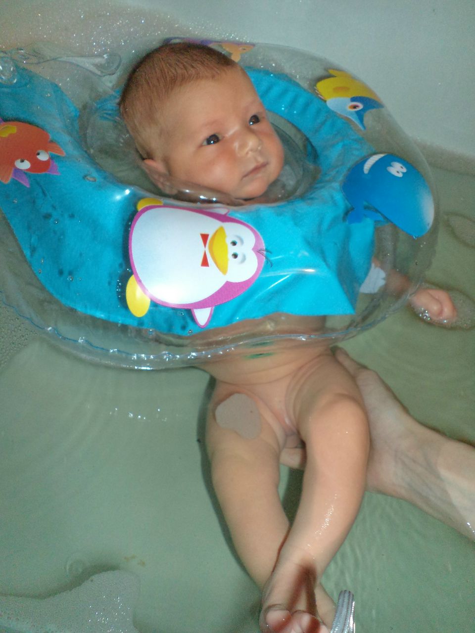 Антонина Сигарёва | Санкт-Петербург