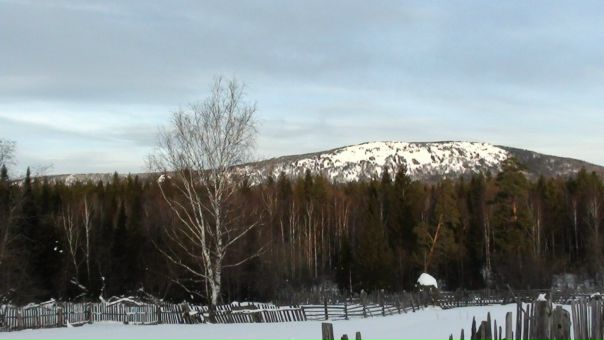 №98, Константин Тарасов, 30.5 №98, Константин Тарасов, 30.5