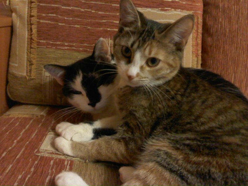 Лилия Козлова | Набережные Челны