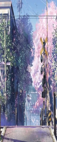 Alichka Korotuchka 春 | Житомир