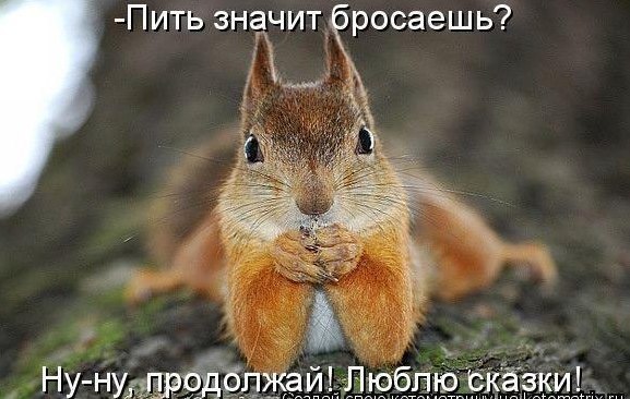 Екатерина Семёнова | Санкт-Петербург