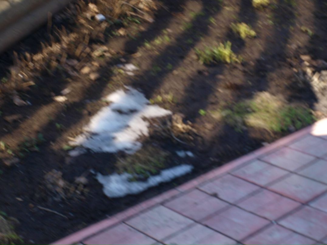 Наталия Власенко | Псков