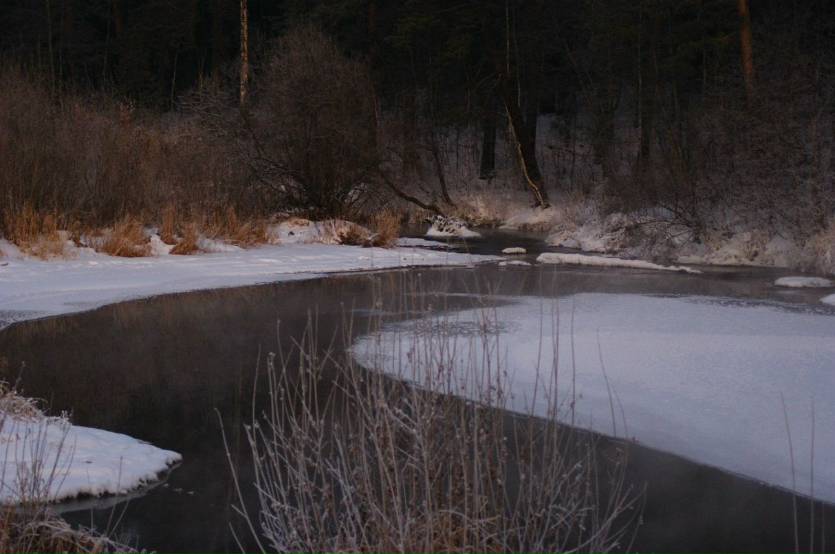 Егор Зашибин EGer | Березовский