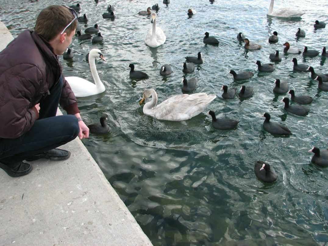 Николай Новиков | Севастополь