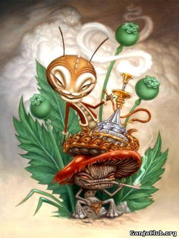 Юрий Борткевич | Санкт-Петербург