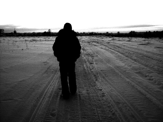 Владимир Веселов | Томск