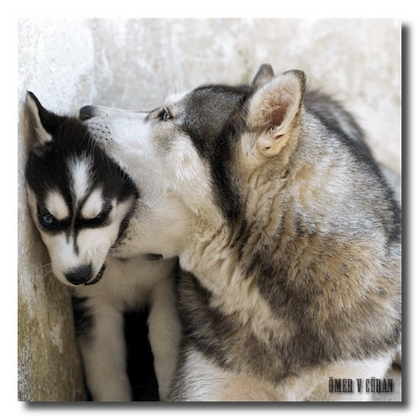 Эрик Софьянц | Санкт-Петербург