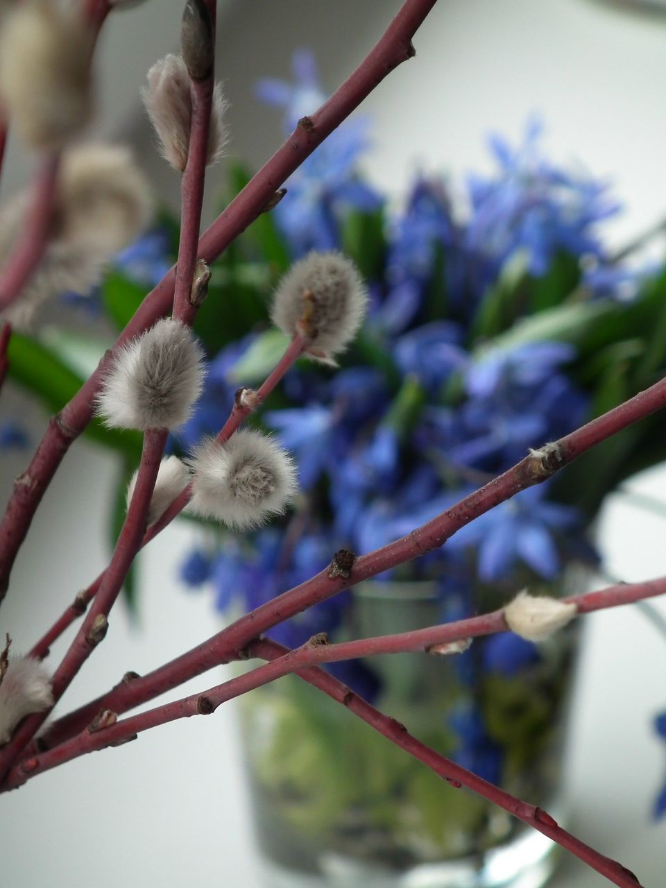 Ольга Маркова | Балашов