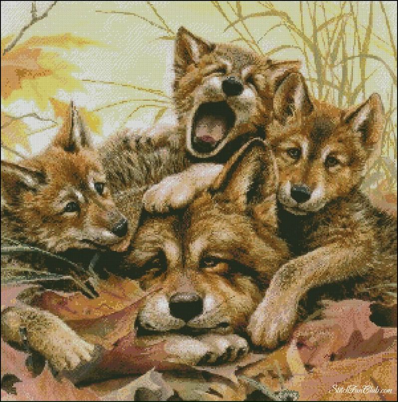 Катя Сидоренко | Санкт-Петербург