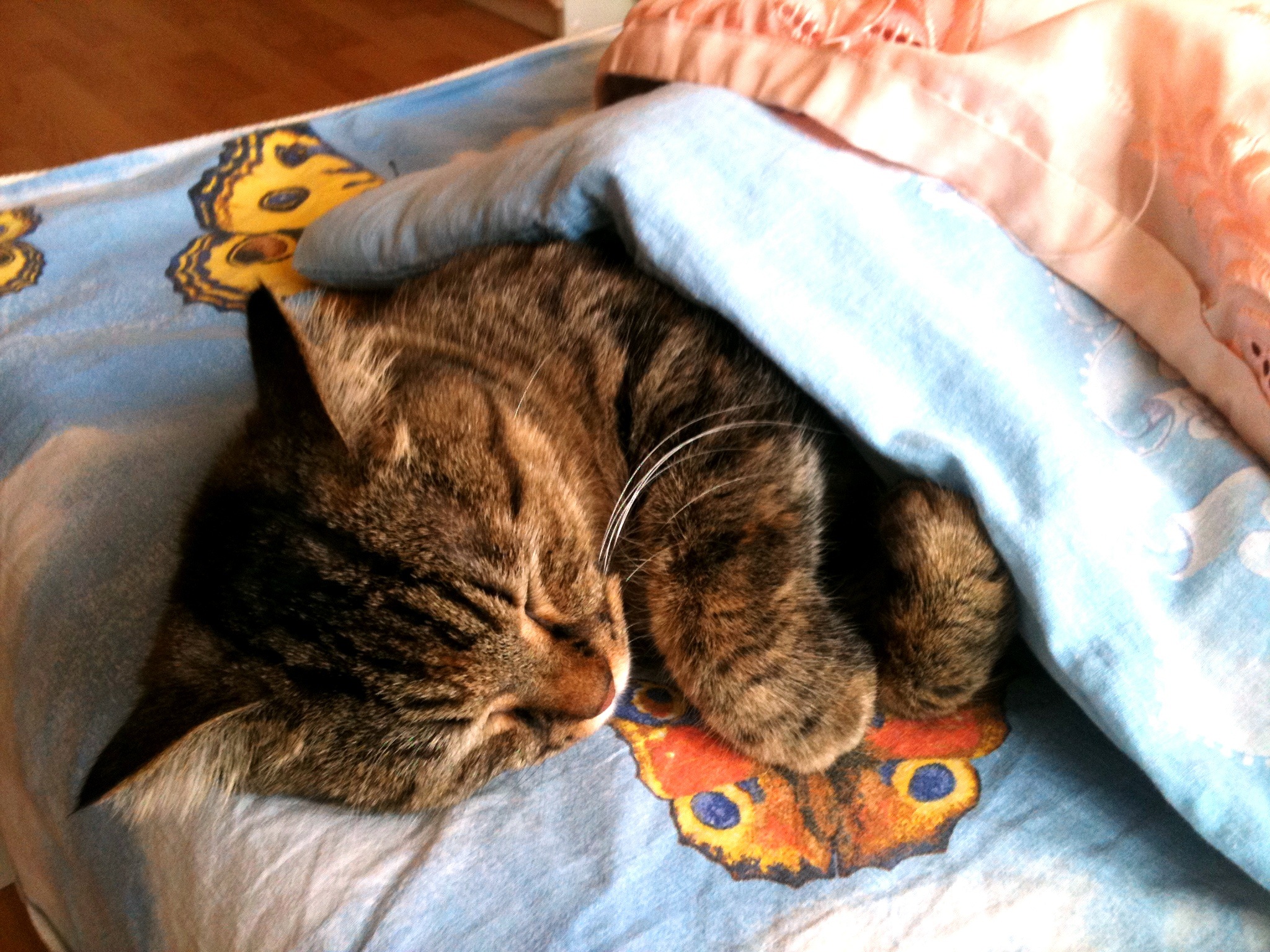 Фото профиля