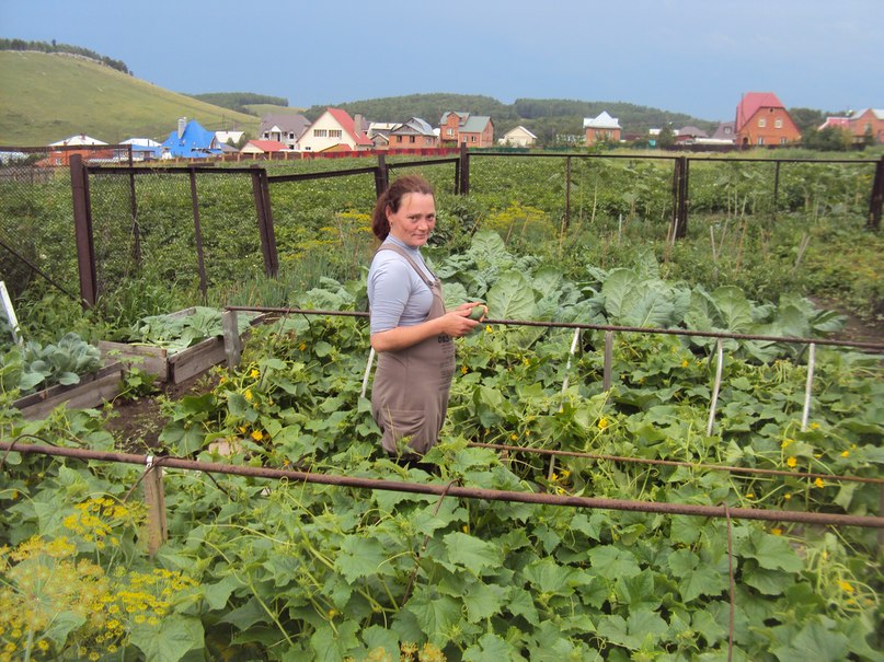 Ольга Яковлева | Красноярск
