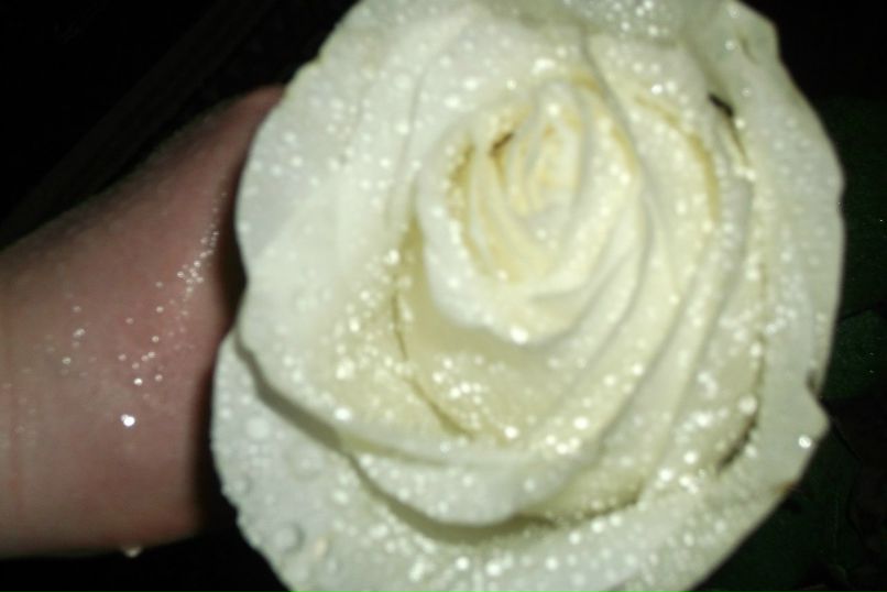 Наталья Васильева | 