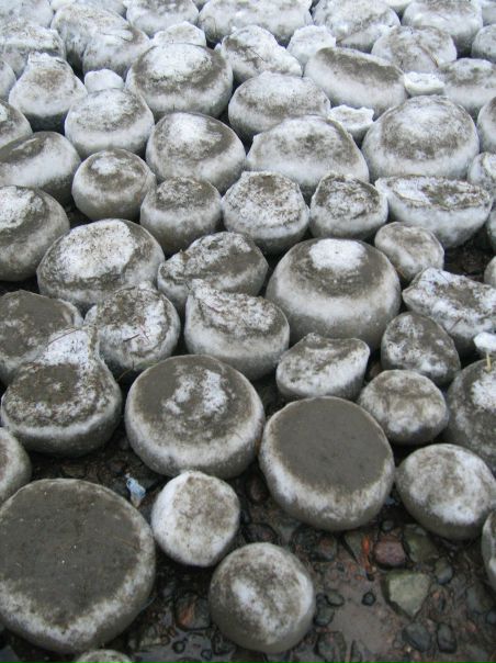 №104, Александр Елисеев, 50 лет, Санкт-Петербург №104, Александр Елисеев, 50 лет, Санкт-Петербург