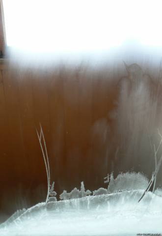 Polina Kalashnikova (Lapteva) | Иркутск