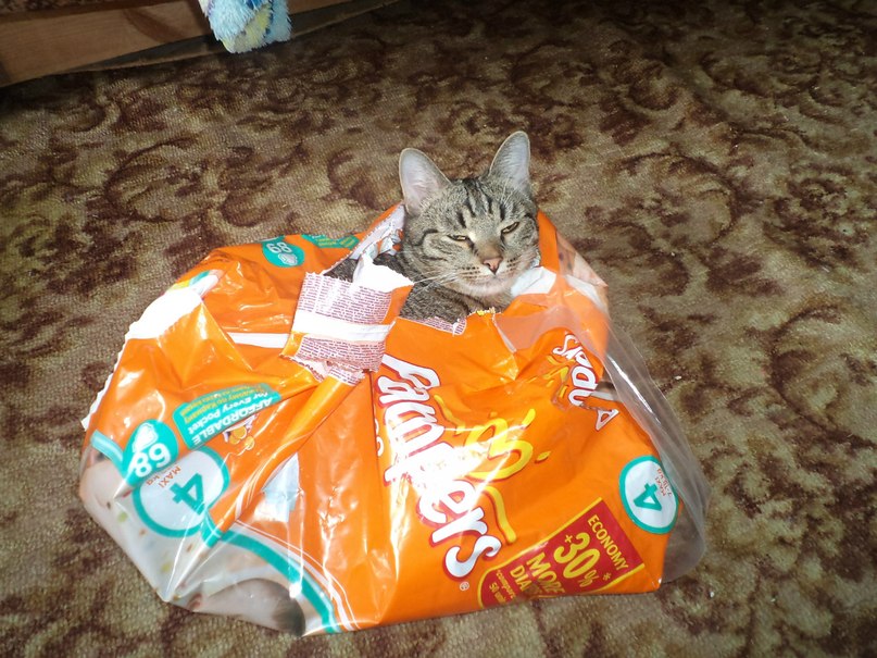 Екатерина Мыльникова | Пенза