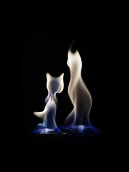 Андрей Бобкин | Воронеж