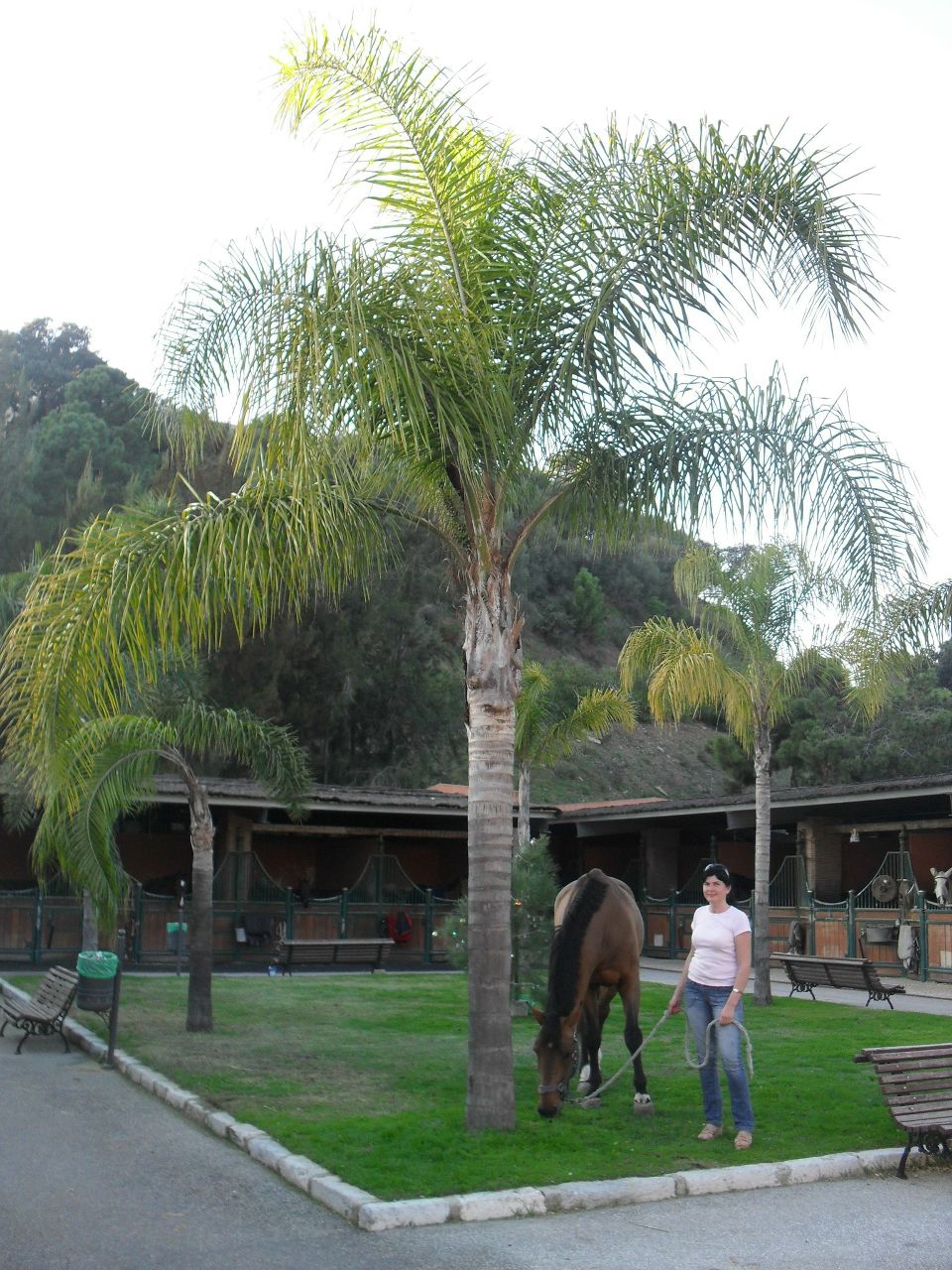 Елена Николаева | Санкт-Петербург