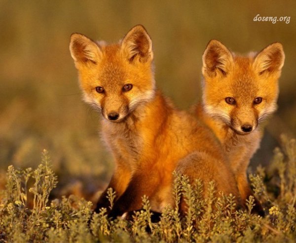 Владимир Лисунов | Петрозаводск